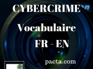 Formation cybercriminalité - Vocabulaire