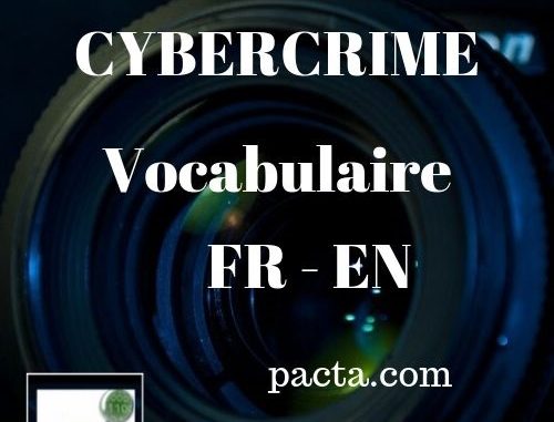 Formation cybercriminalité - Vocabulaire